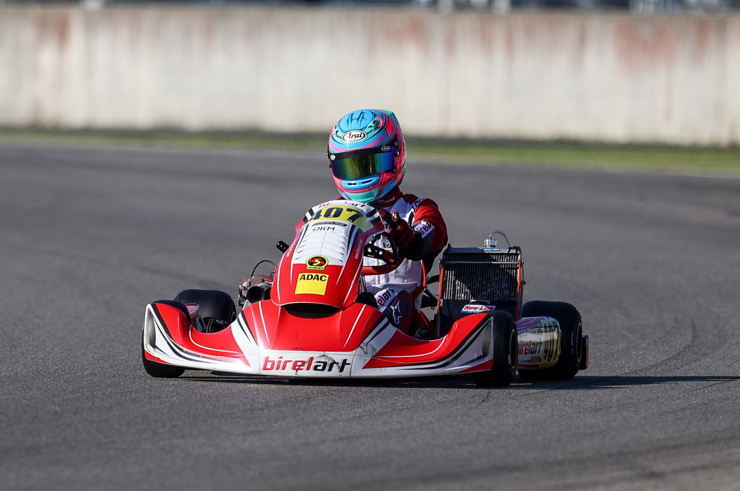 FIA Kart Weltmeisterschaft